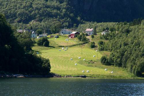 Foldvik - W�dkarstwo w Norwegii