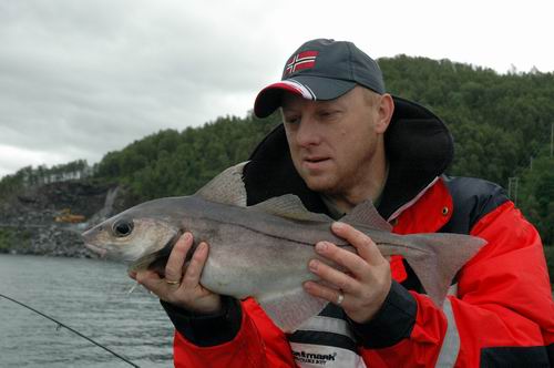 Foldvik - W�dkarstwo w Norwegii