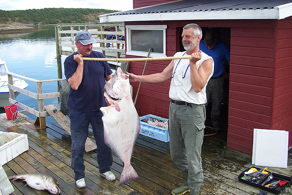 Wyspa Blomsøya