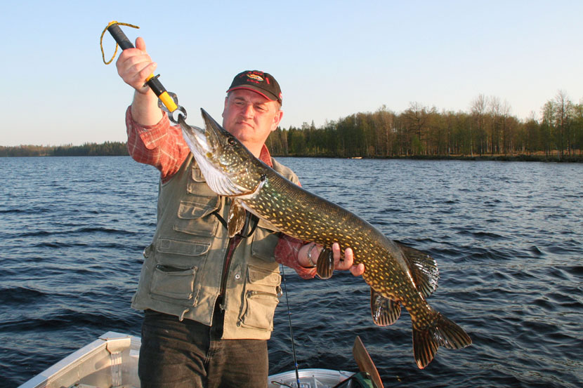 Jezioro Fiolen - W�dkarstwo w Szwecji