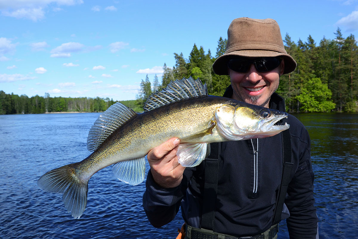 Nedre Dalälven