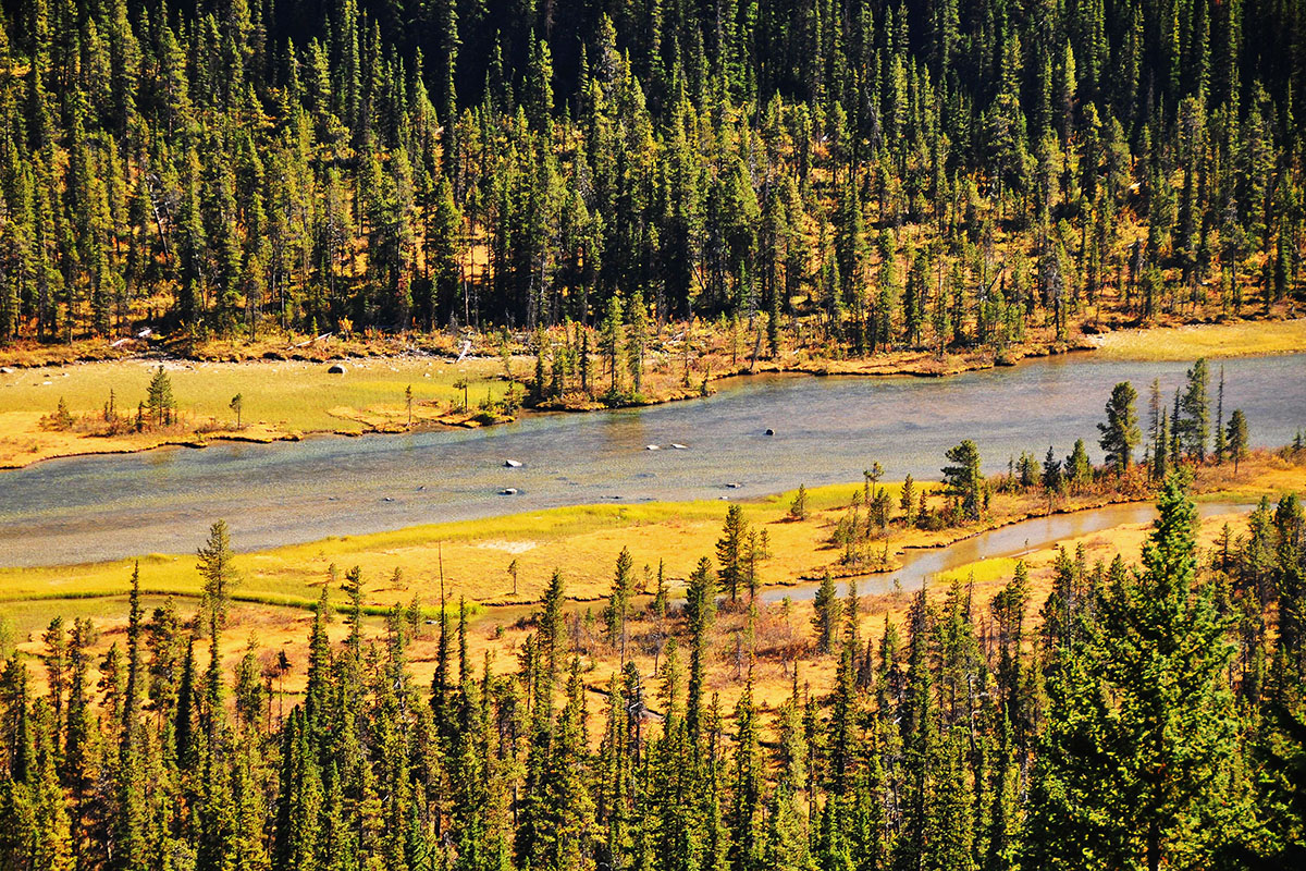 Kanada, Rzeka Skeena