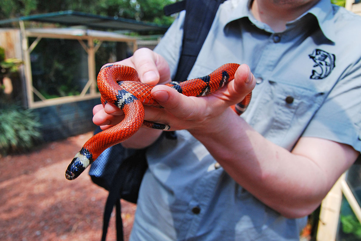 Parismina, Kostaryka