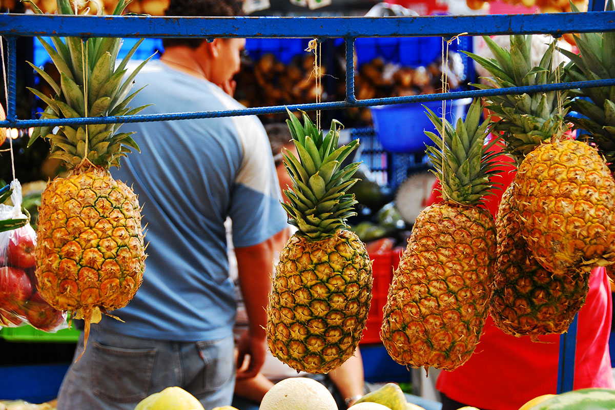 Parismina, Kostaryka