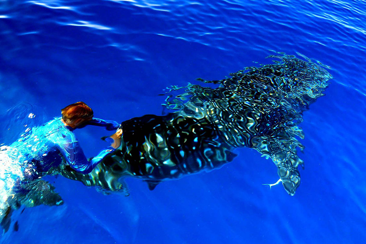 Morze Corteza, Meksyk