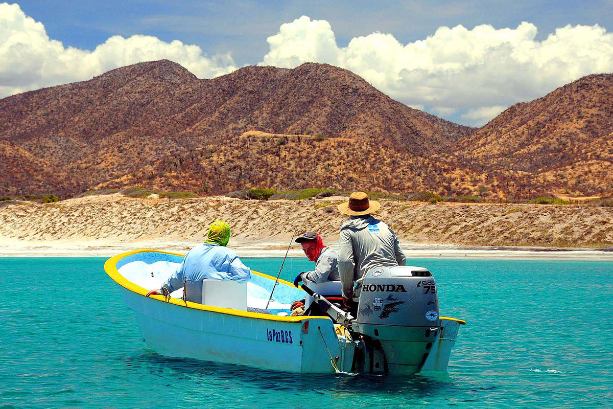 Morze Corteza, Meksyk