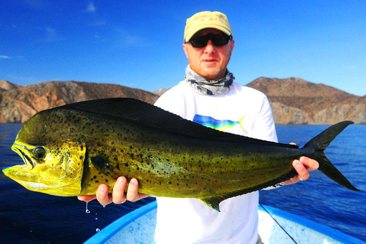 Morze Corteza, Meksyk