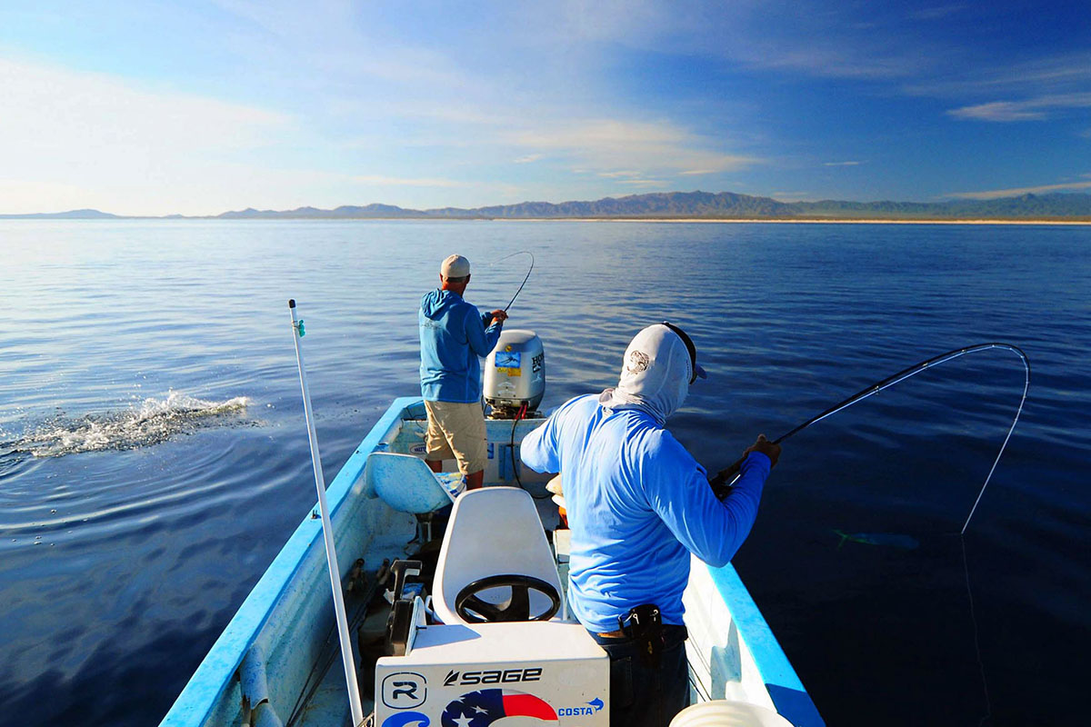 Morze Corteza, Meksyk