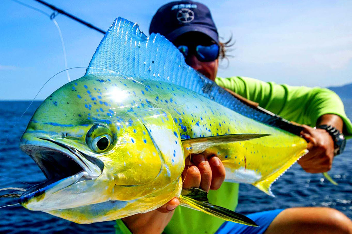 Morze Corteza, Meksyk