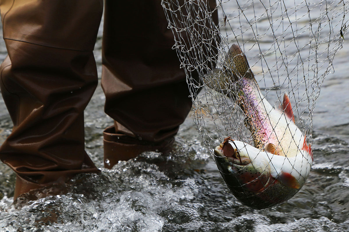 Rzeki Morza Ochockiego, Kamczatka