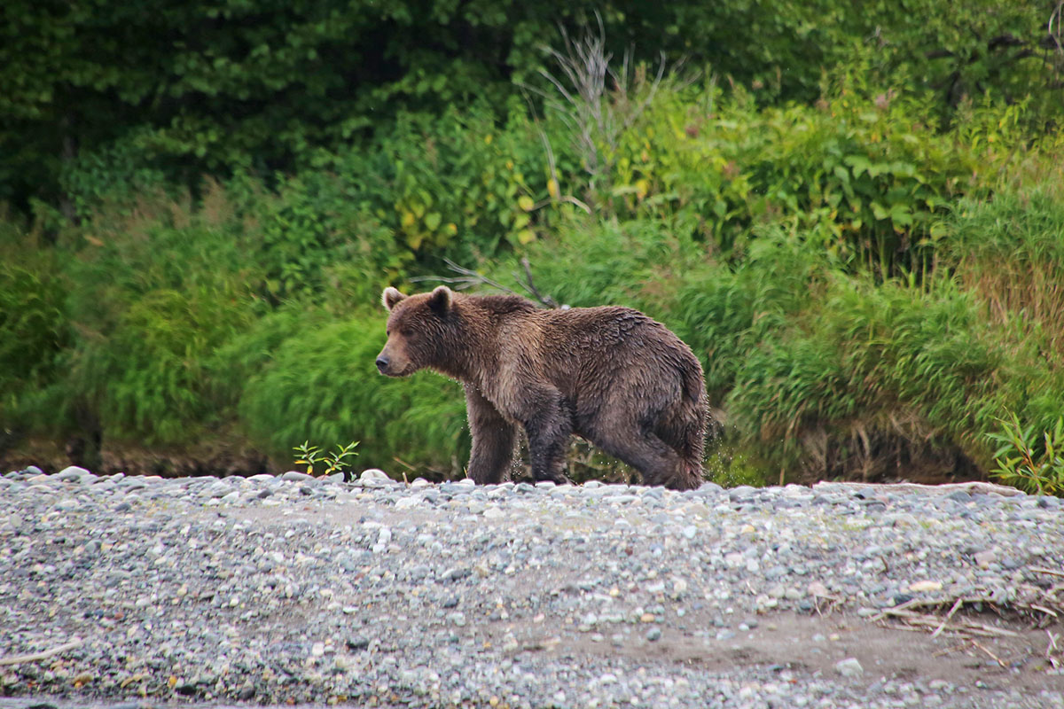 Rzeki Morza Ochockiego, Kamczatka