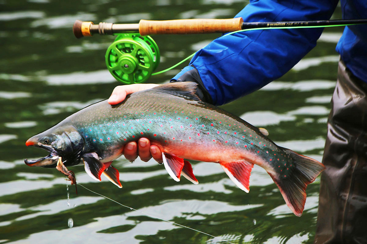 Rzeki Morza Ochockiego, Kamczatka