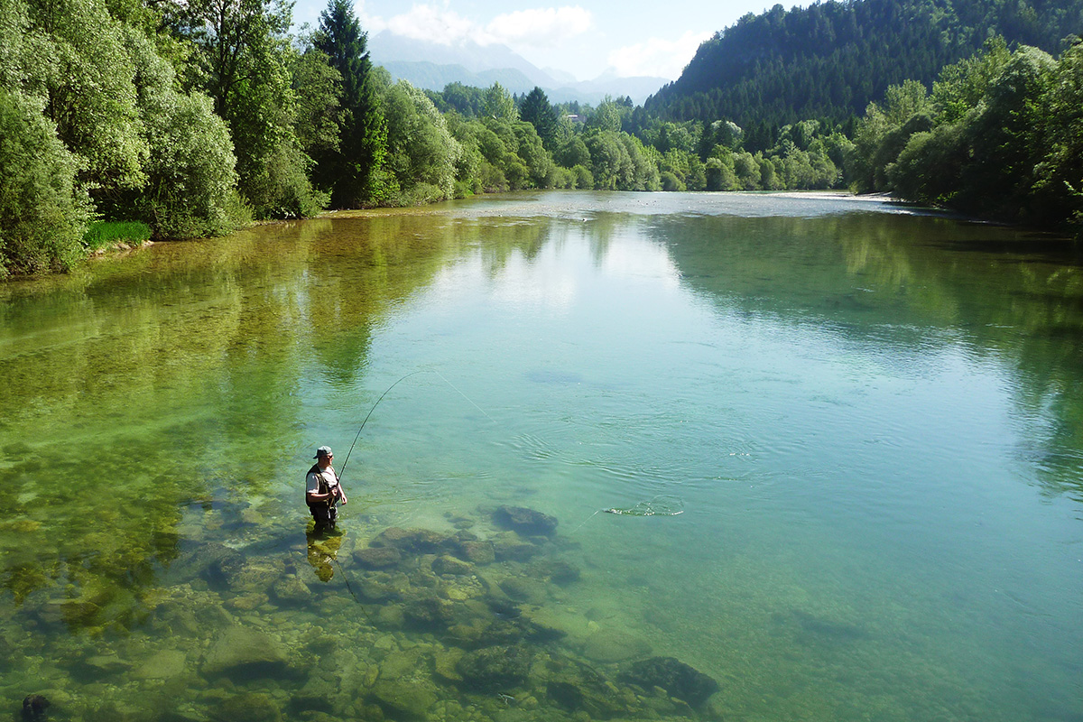 Rzeka Sava Bohinjka