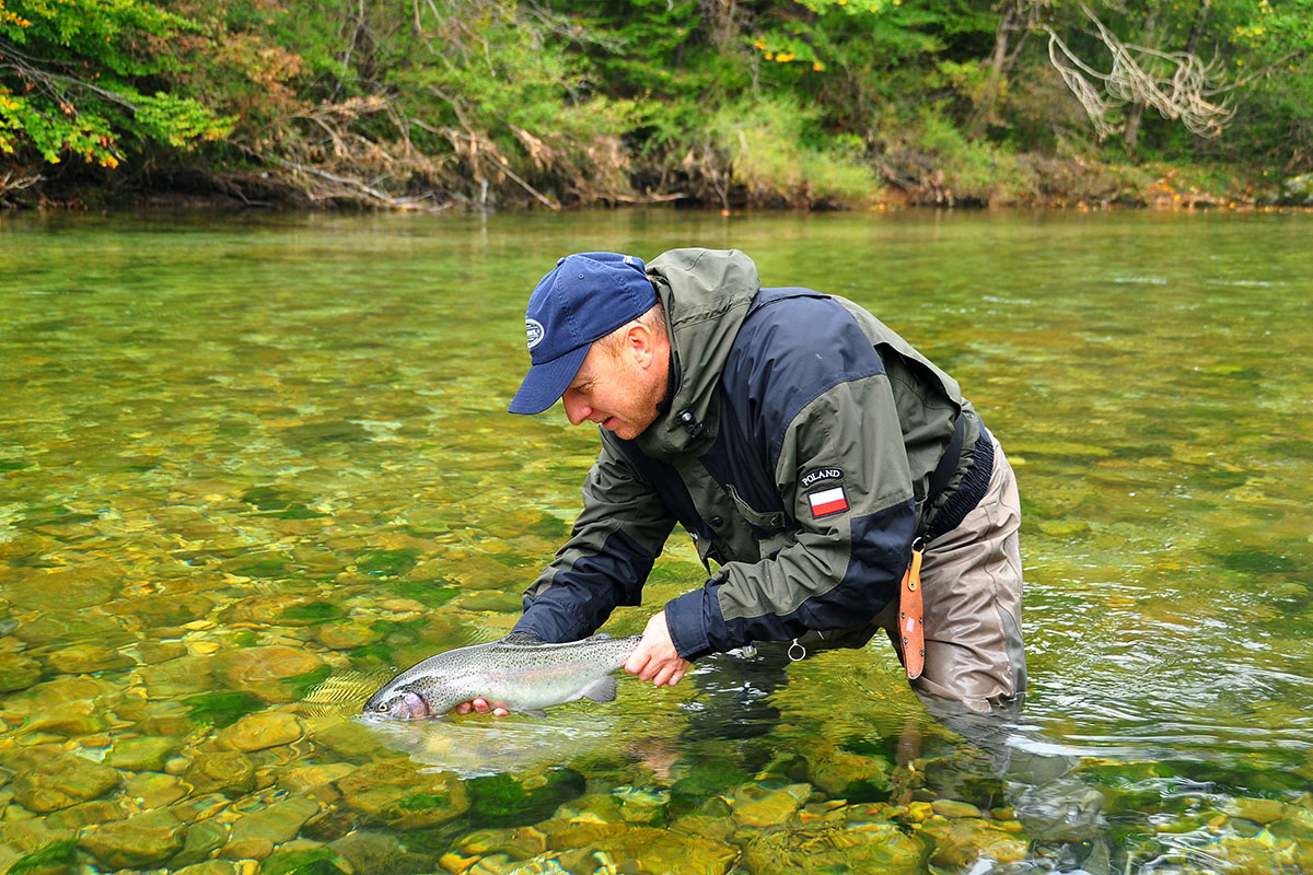 Rzeka Sava Bohinjka