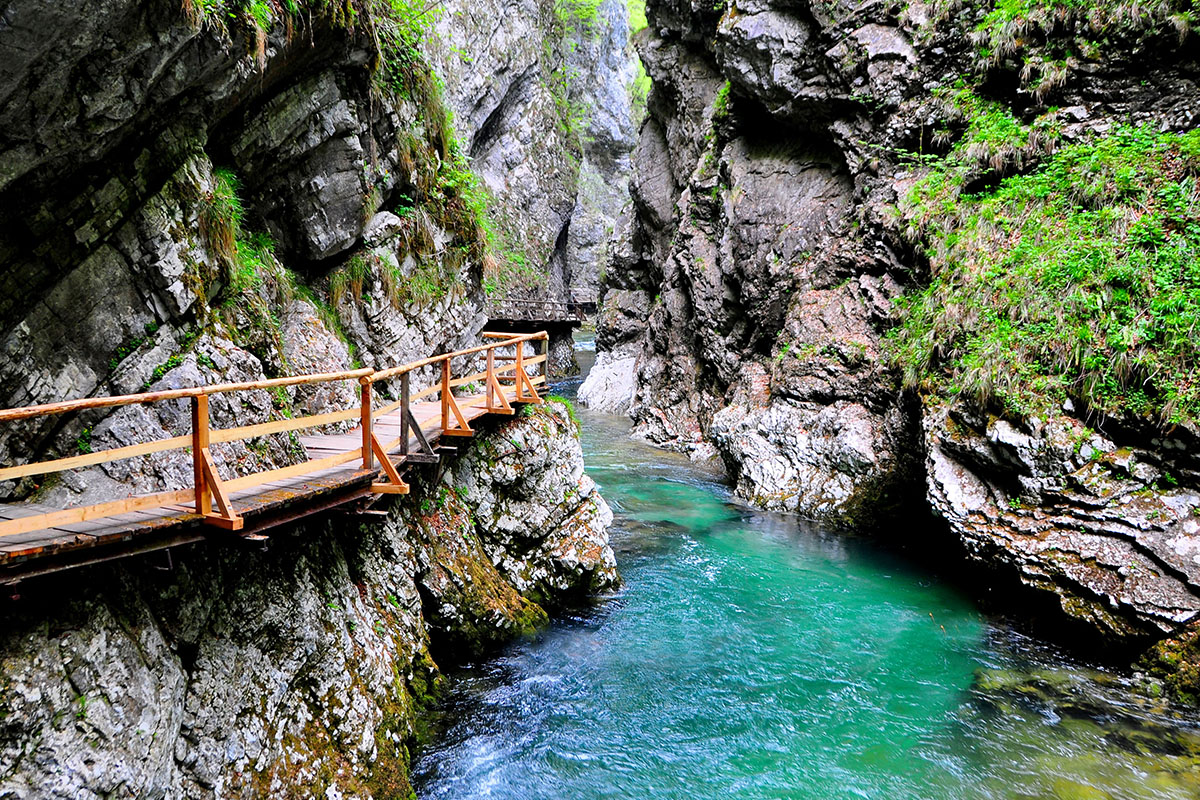 Rzeka Sava Bohinjka