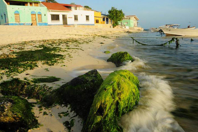 Los Roques, Morze Karaibskie